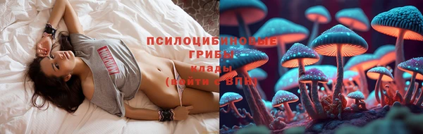дурь Арсеньев
