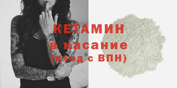 прущие грибы Новодвинск