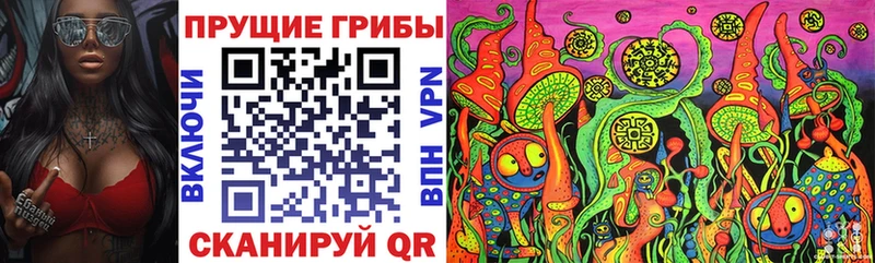 наркота  Покачи  Псилоцибиновые грибы Psilocybine cubensis 